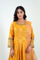 3Pc Embroidered Print Cotton Long Stitched Frock