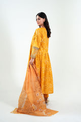 3Pc Embroidered Print Cotton Long Stitched Frock