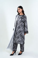 3Pc Embroidered Print Cotton Stitched